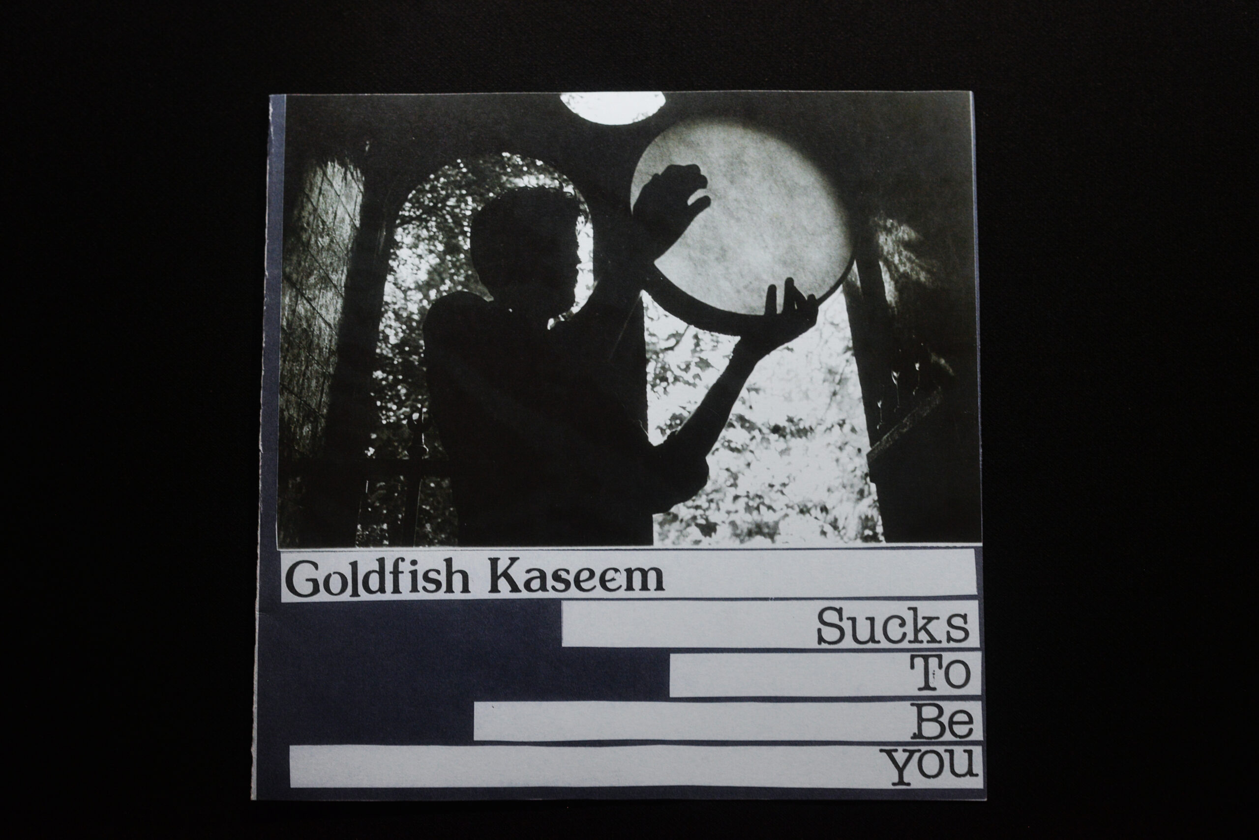 Goldfish Kaseem – Sucks to Be You